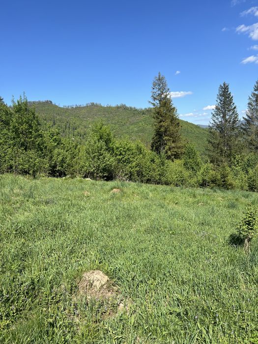 Продам земельну ділянку  Славське