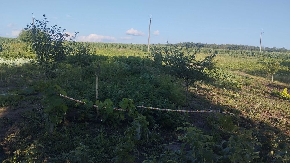 Продаж будинку Харківська обл Богодухівський район село Коломак
