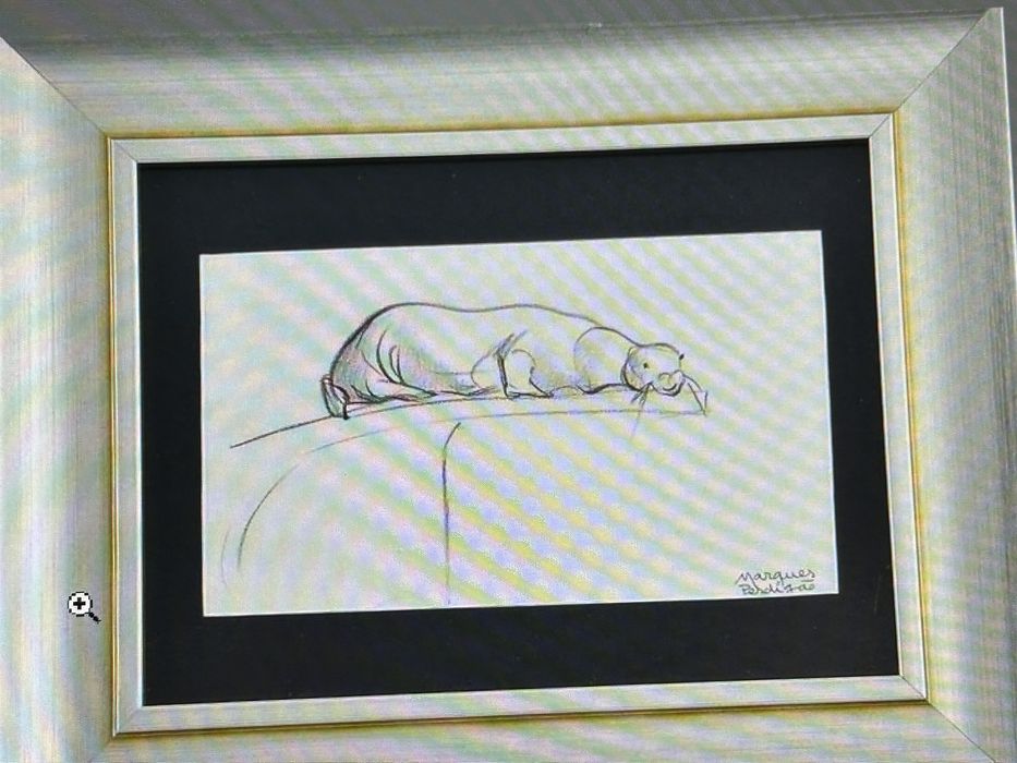 Desenho Original Marques Perdigão