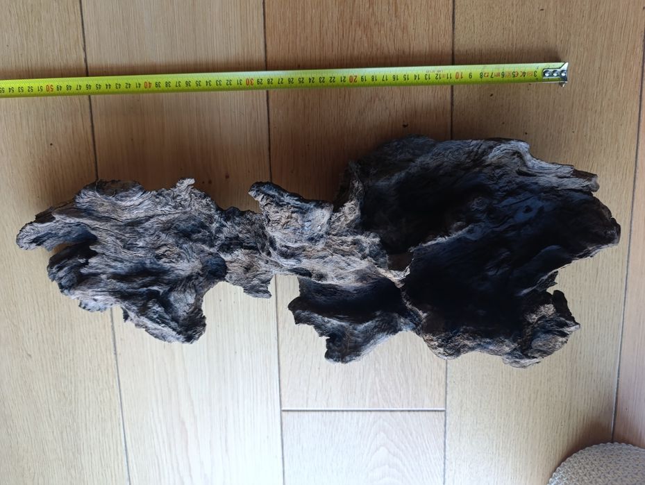 Korzenie do akwarium