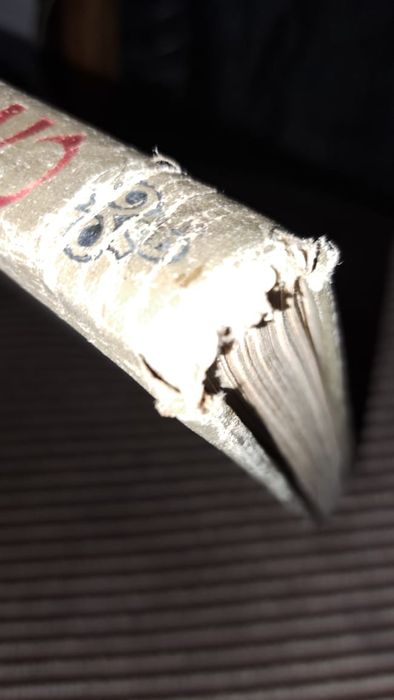 Слово о полку Игореве