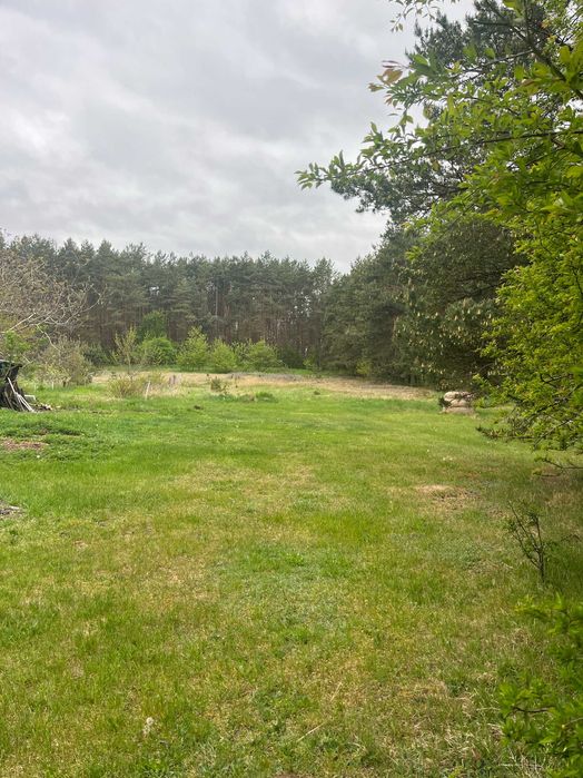 Działki budowlane Pszczelnik