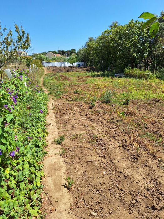 Terreno com Ruína e Projeto: Vista Serra de Sintra (Sacotes)