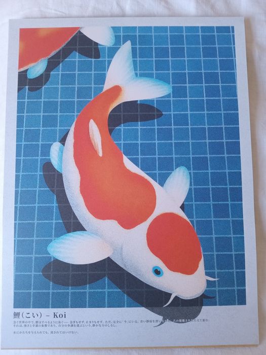 Poster de carpa koi novo 30×40cm