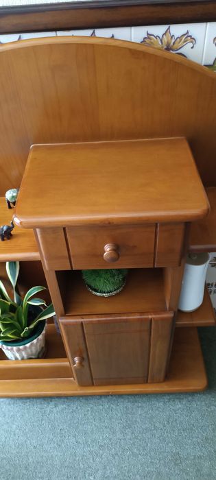Consola de entrada pingo mel