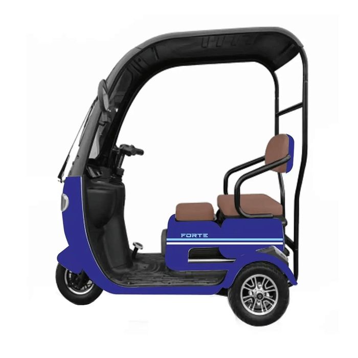 Трицкл Forte Trine -WS800