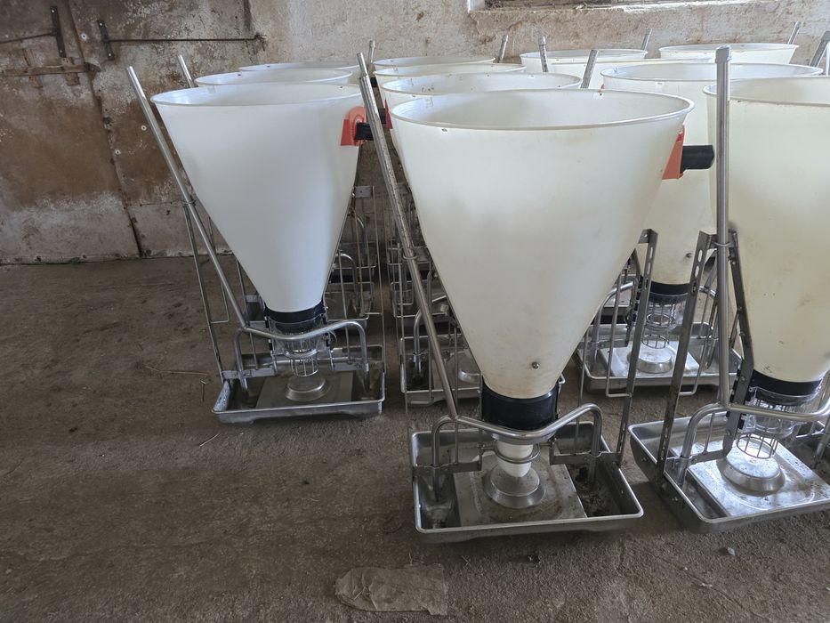 Automaty paszowe
