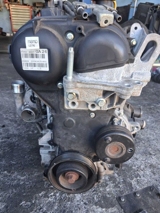 Śilnik 1.5 ecoboost