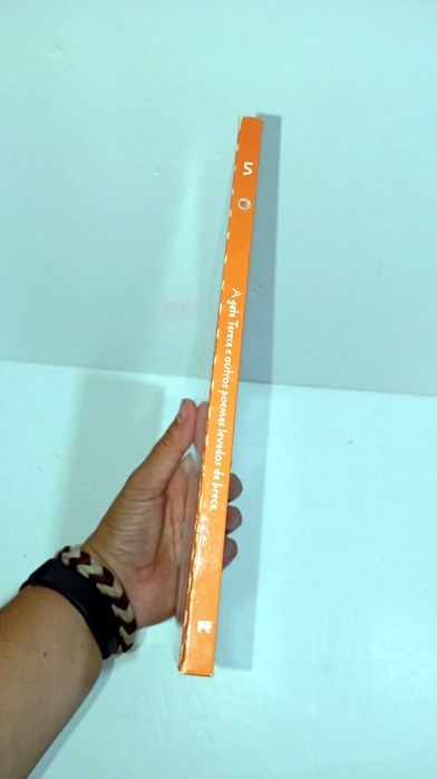 A Gata Tareca e outros poemas levados da breca - Luísa Ducla Soares