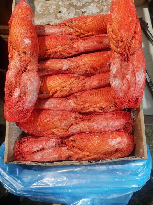 Лобстер (Омар) свіжо-морожений (450-1300 г). Ціна за 1кг