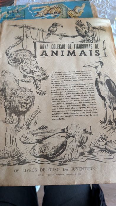 Caderneta figurinhas brasileira dos anos 50 e 60