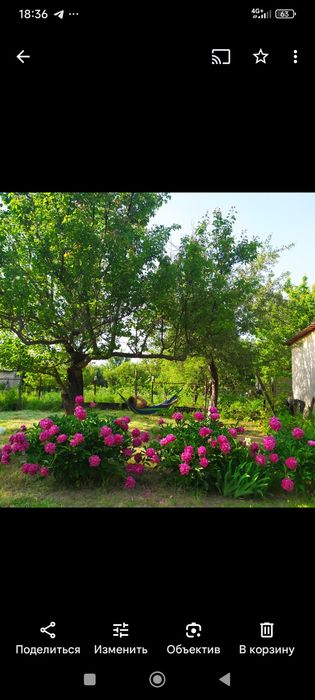 Продам  земельний участок-дачу в живописному місці.