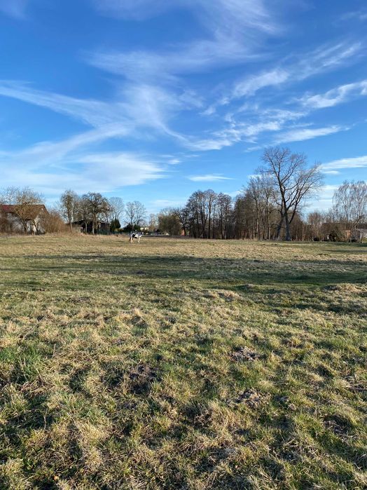 Działka budowlana 2002 m² blisko Kołobrzegu + możliwość powiększenia (o dodatkowe 3400 m²)