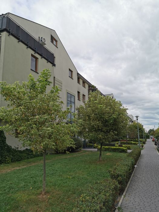 Przytulne mieszkanie, z bezpośrednim dojazdem co samego centrum...