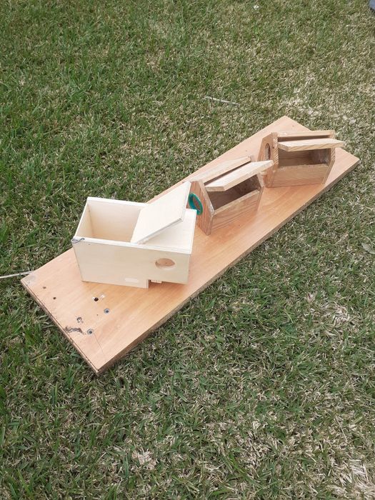 Ninhos para exóticos em bom estado