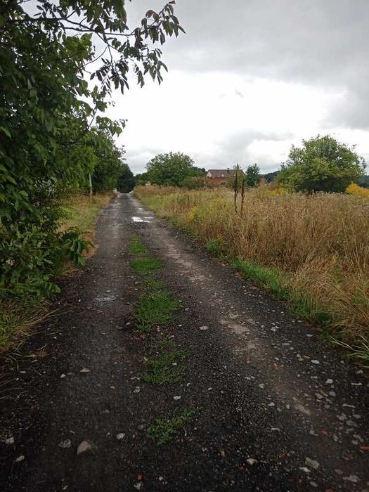 Продаж земельної ділянки в селі Лука-Мелешківська