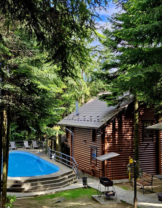 Будинки в Карпатах.  Котедж в Мигово