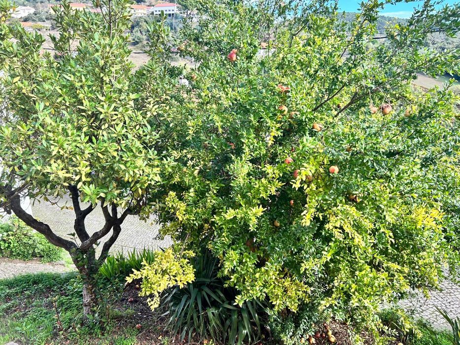 Moradia T3 à venda em Alhandra, São João dos Montes e Calhandriz, Vila Franca de Xira — foto 11