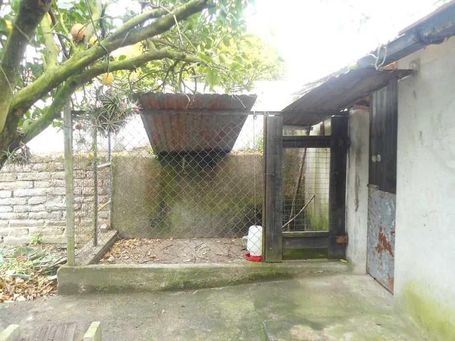 Quintinha, Casa antiga tipo T1+2, lagar, churrasco, quintal c/poço, currais (aves e animais)