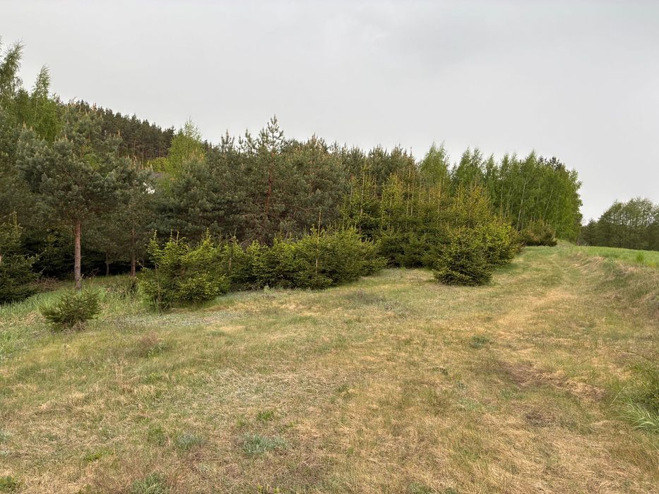 Działki budowlane 1000–1300 m².  Cisza + zieleń Kolonia Ostrowicka - Widok 4