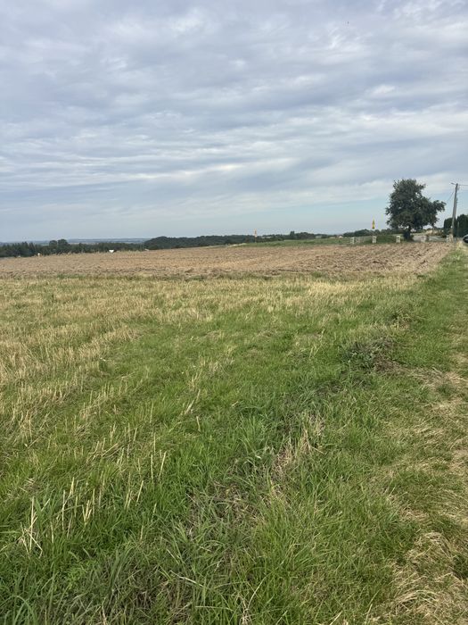 Sprzedam działkę z potencjałem budowlanym ulica Marianów Skała wieś - Widok 2