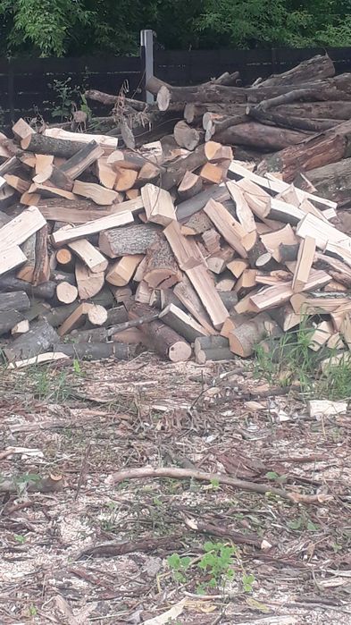 ДРОВА твердих порід ВНАЯВНОСТІ