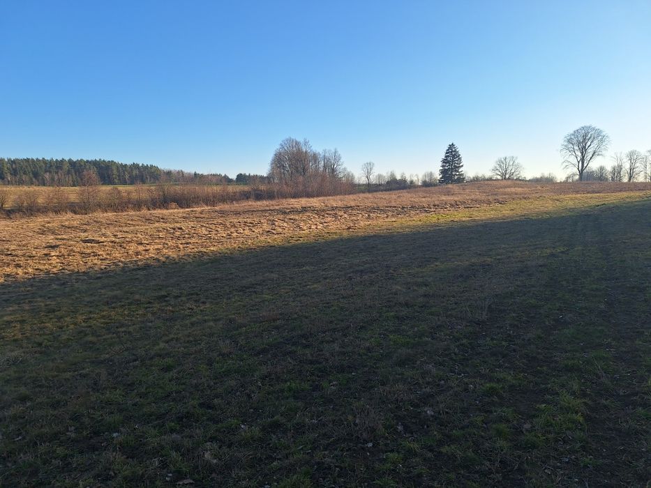 Sprzedam ziemię rolną na Mazurach . - Widok 5