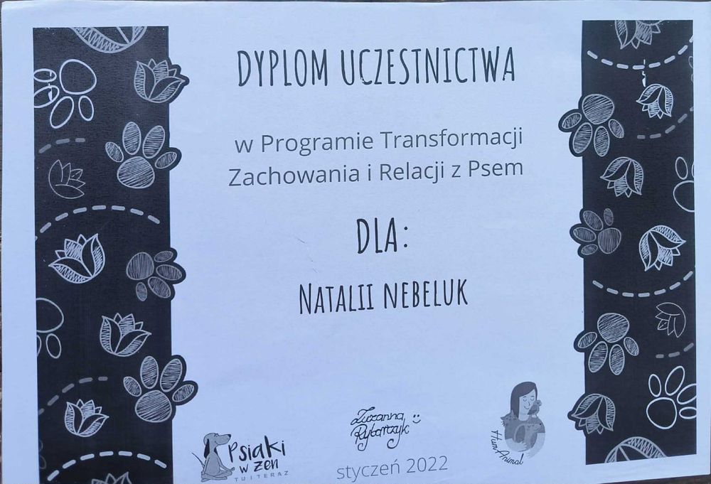 Behawiorysta psów, szkolenie psów