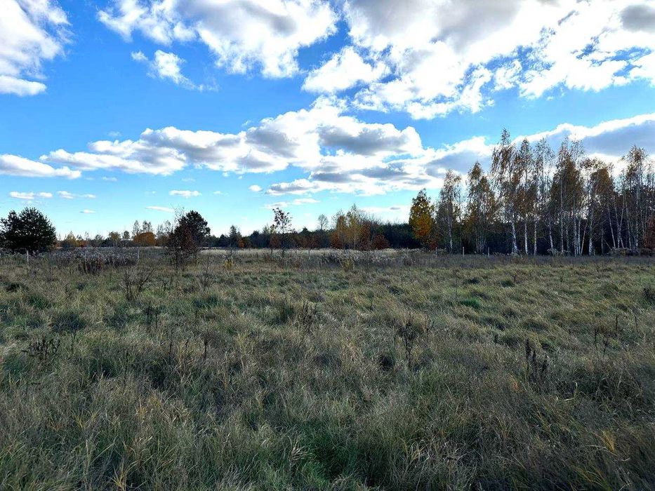 Продаж  ділянки 38,36сот.(25 сот під забудову+13,36ОСГ)Почепин.ID:732