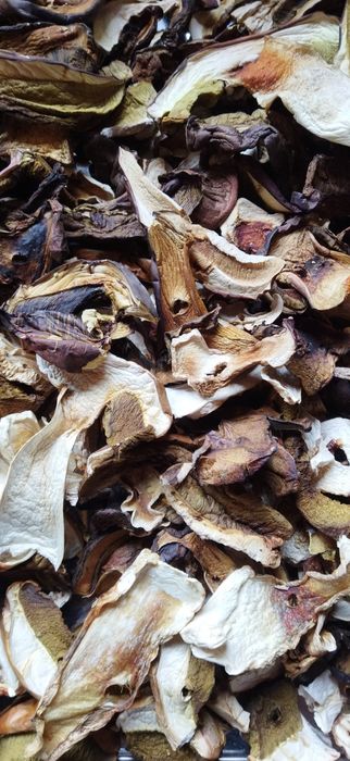 Grzyby suszone Borowik suszony mix 100g