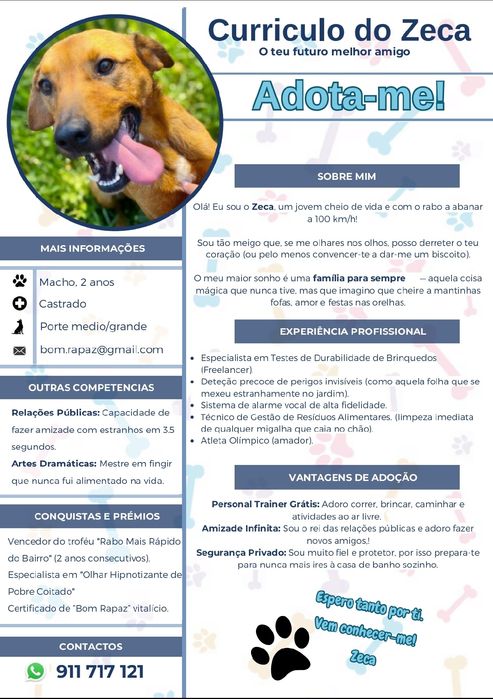 Zeca para Adoção Consciente