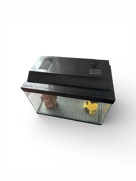 Акваріум 20 літрів, аквариум 20 литров