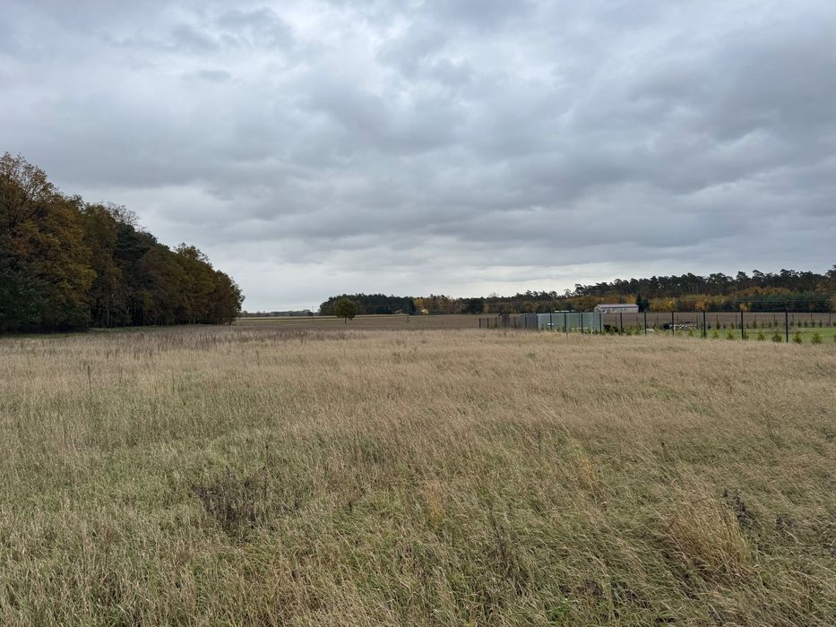 Działka pod lasem z pozwoleniem na budowę