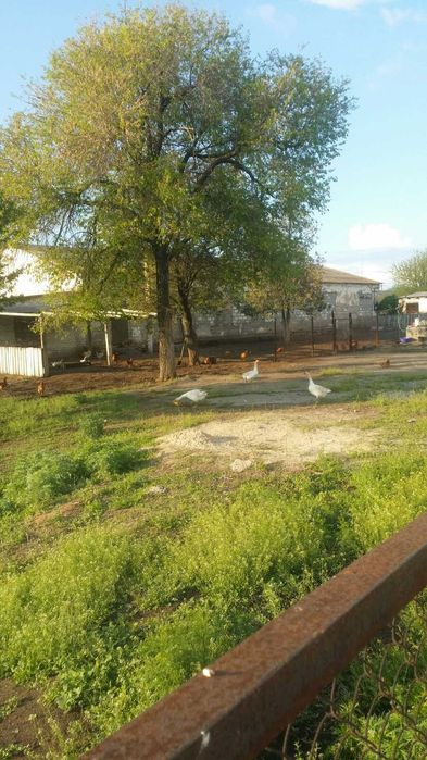 Комплекс ферм 2022