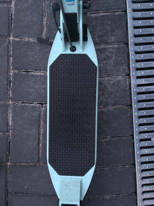Hulajnoga miętowa