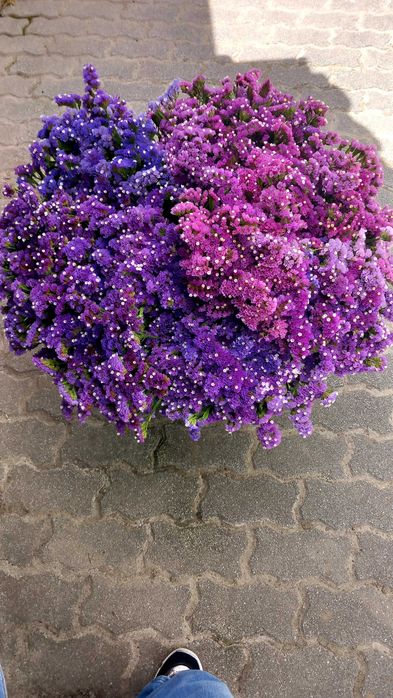 Venda de flores em viseu