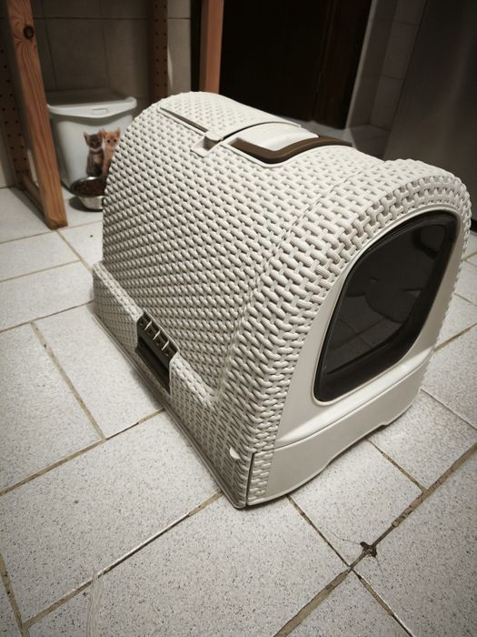 Caixa de arreia fechada com apanhador