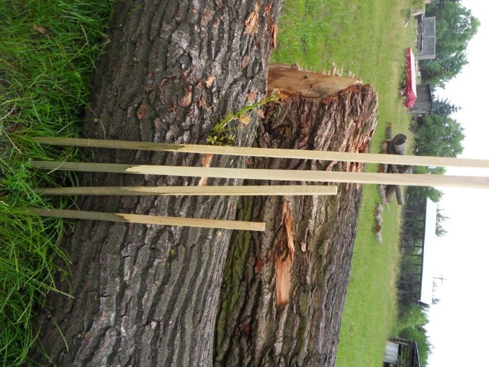 Paliki ogrodnicze, paliki do pomidorów, tyczka do roślin