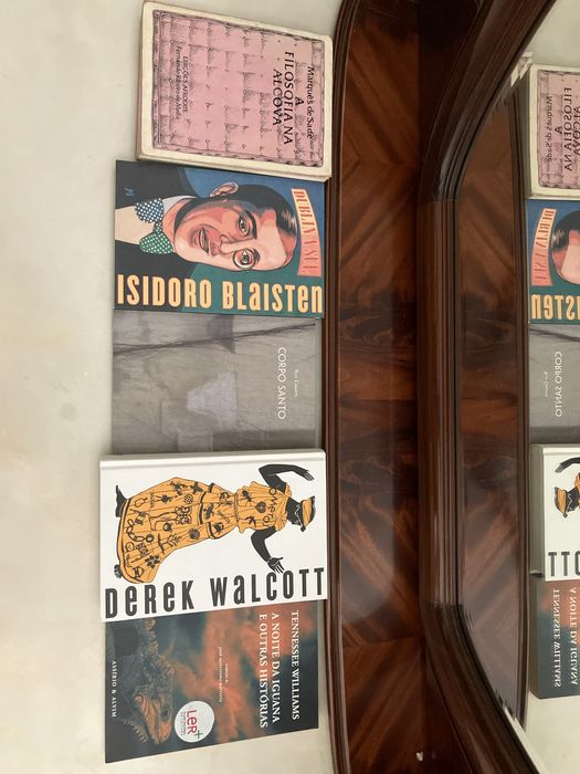 Literatura 50% desconto (ver preço individual)