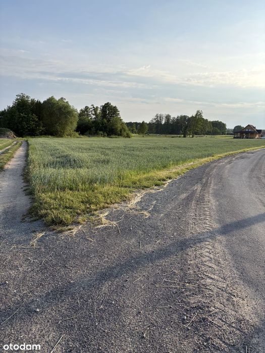 Działka rolna z możliwością zabudowy siedliskowej, Parole gm. Nadarzyn - Widok 2