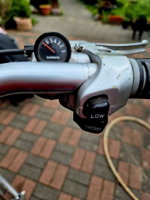 Batavus Multispeed