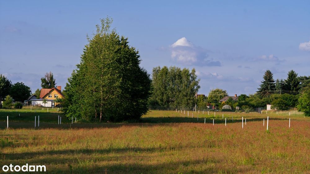 Jezioro Piaseczno-działki blisko plaży Pojezierze Łęczyńsko Włodawskie - Widok 6