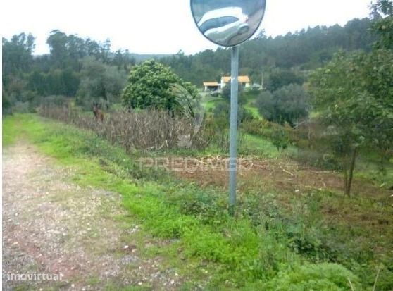 Land with Construction Capacity