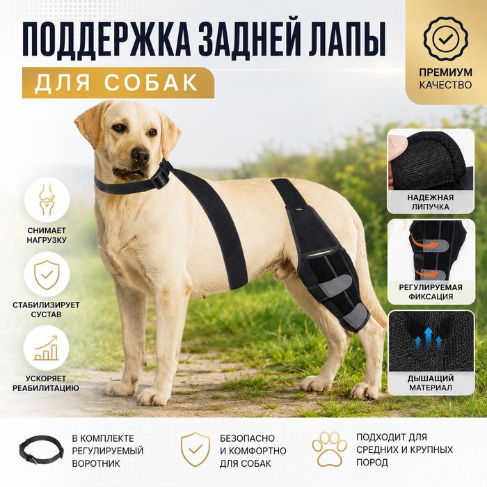 Наколенник бандаж для собак для восстановления сустава после травм S, M, L