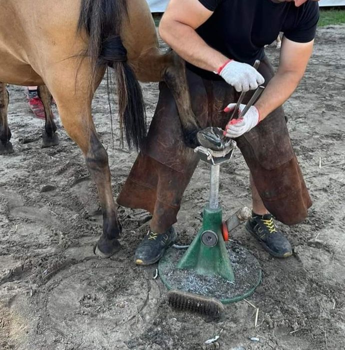 Werkowanie, korekcja, rozczyszczanie kopyt koni