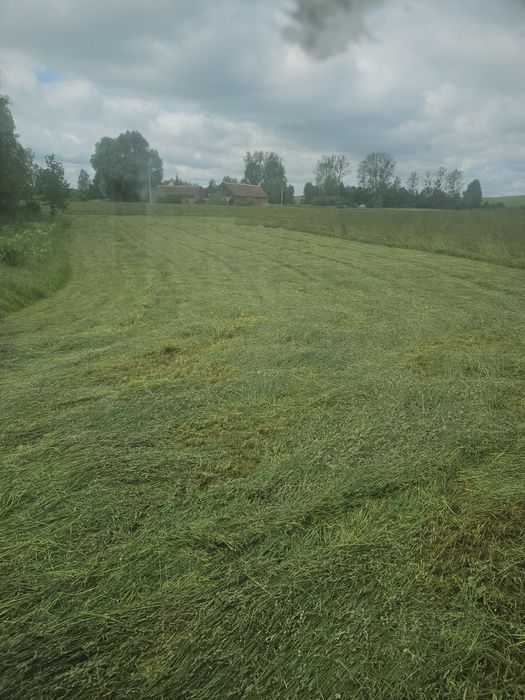 Sprzedam siano pierwszy pokos 400szt.