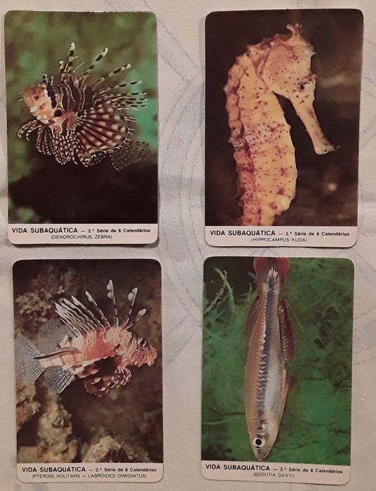Calendários de bolso 1987 - Tema: Vida Subaquática