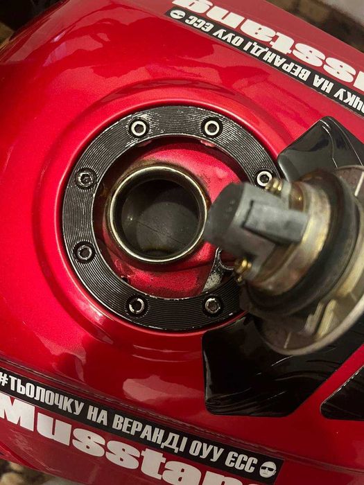 Mustang Fortuna 200,2024 року