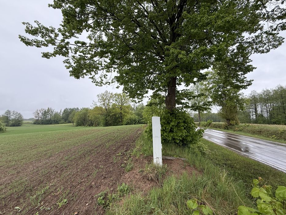 Działka z WZ na dom | 3001 m² | Bakaniuk koło Suwałk - Widok 2