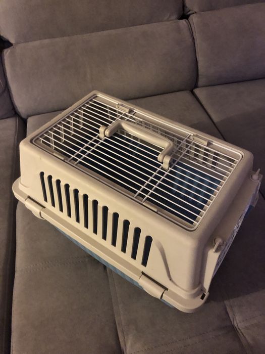 Caixa transportadora animais